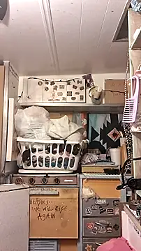 Snapshot of whitetrashdirtyslut chatting on June 20, 7:55 am whitetrashdirtyslut online show from June 20, 7:55 am
