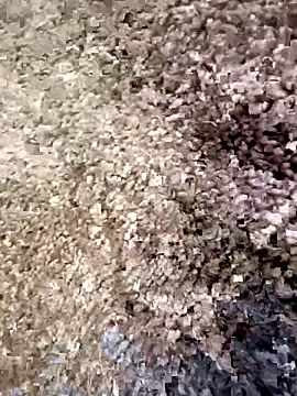 Snapshot of christian0009 chatting on December 18, 4:46 pm christian0009 online show from December 18, 4:46 pm