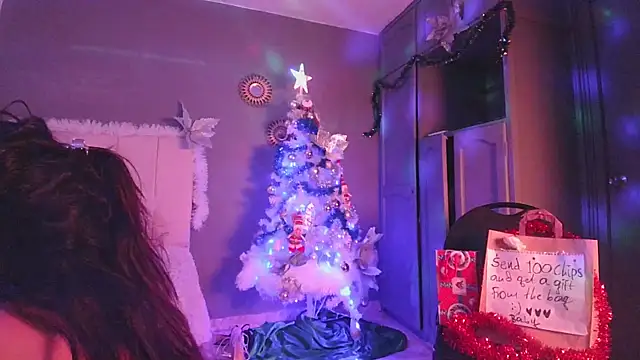 Snapshot of arteverena chatting on December 25, 12:48 am arteverena online show from December 25, 12:48 am