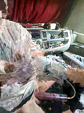 richa22cm online show from November 12, 2:17 pm