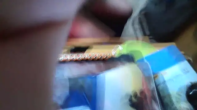 Javier bear online show from January 15, 9:40 pm