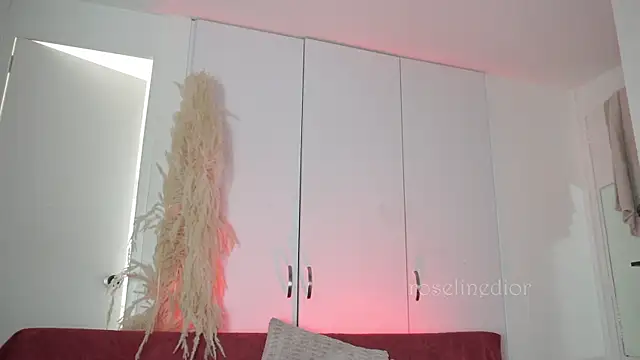 roselinedior online show from November 10, 4:17 pm