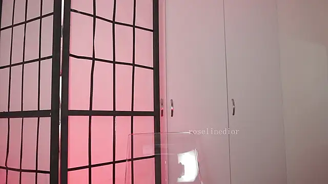 roselinedior online show from May 3, 1:39 pm