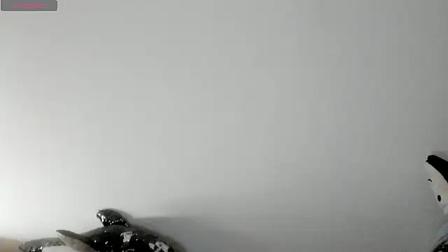 queen fetish online show from January 8, 2:30 pm