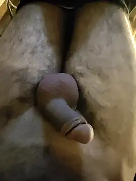 Snapshot of NilsonDick chatting on April 29, 2:32 pm NilsonDick online show from April 29, 2:32 pm