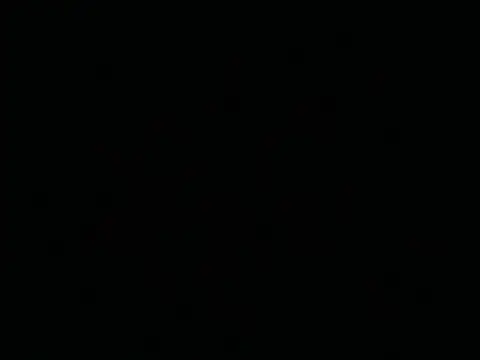 Tigerhill2023 online show from April 26, 1:47 am