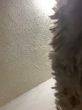 talitasilvx online show from March 18, 11:09 pm