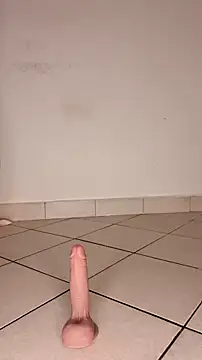 Snapshot of Perqueen chatting on November 1, 9:22 am Perqueen online show from November 1, 9:22 am