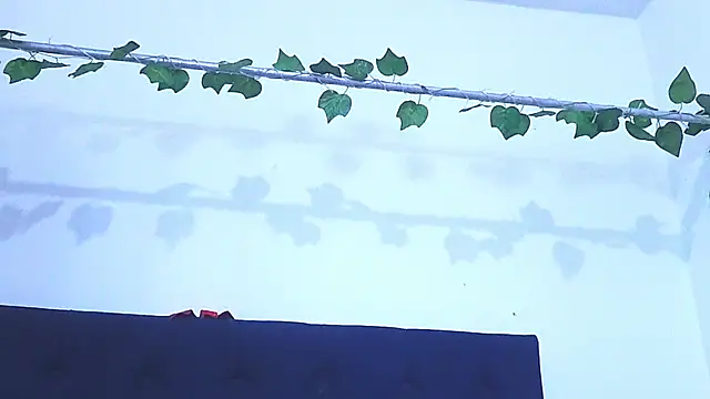 Snapshot of AliciaBasch chatting on January 9, 2:01 am AliciaBasch online show from January 9, 2:01 am