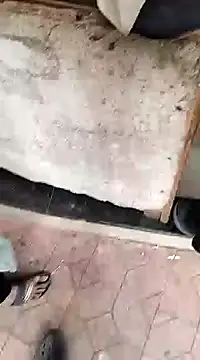 findmemylove online show from December 22, 7:33 am