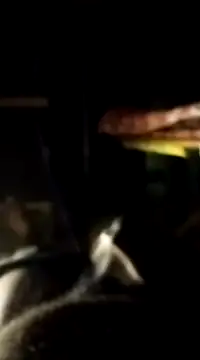 findmemylove online show from January 7, 7:06 pm