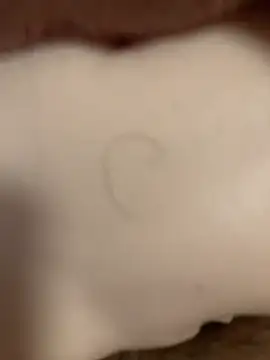 Snapshot of Beijing2000 chatting on November 8, 12:55 am Beijing2000 online show from November 8, 12:55 am