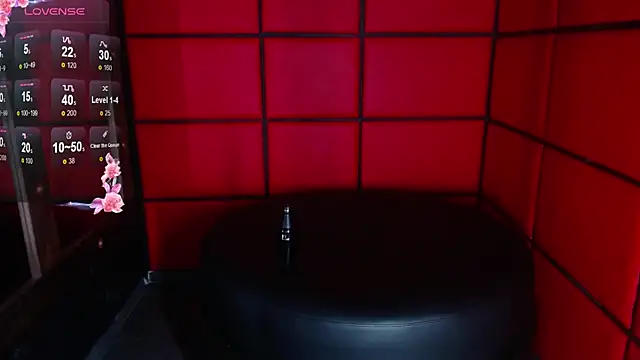 Snapshot of ElianFoxter chatting on December 30, 11:28 pm ElianFoxter online show from December 30, 11:28 pm