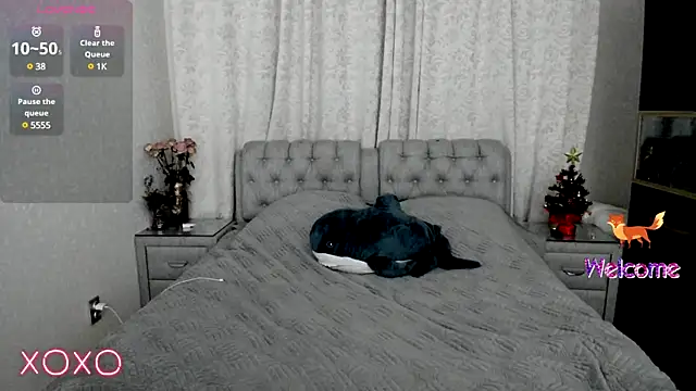 rocky foxy online show from January 19, 1:00 am