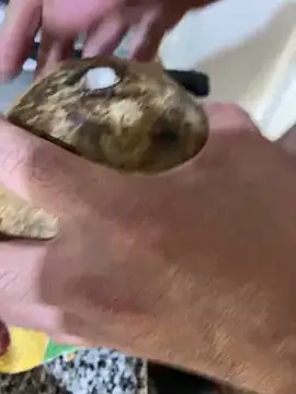 Snapshot of FlorBich chatting on December 8, 11:08 pm FlorBich online show from December 8, 11:08 pm