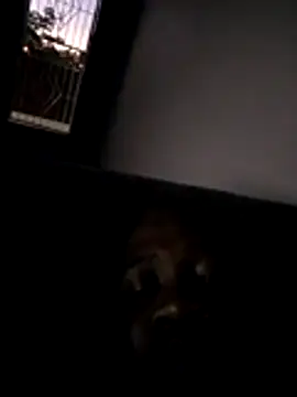 shotgunDee online show from December 3, 5:33 pm