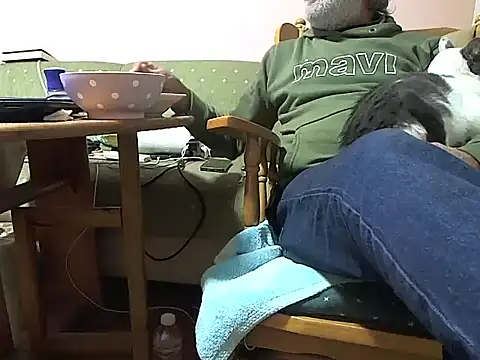 zormen355 online show from November 14, 7:34 pm