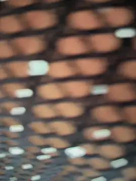 Snapshot of Rose-euphoria chatting on November 5, 1:44 pm Rose-euphoria online show from November 5, 1:44 pm