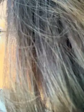 Snapshot of miacanela_xo chatting on October 11, 10:08 pm miacanela xo online show from October 11, 10:08 pm