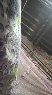 HotSexyBoudi online show from December 21, 9:01 am