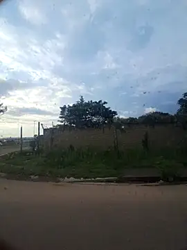 Snapshot of Petrossa chatting on November 29, 4:15 am Petrossa online show from November 29, 4:15 am