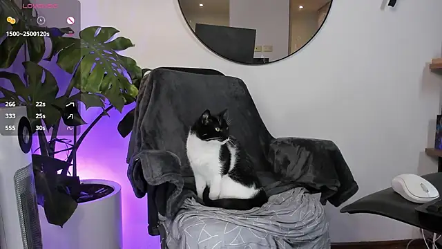 ariana fitl  online show from January 28, 3:47 am