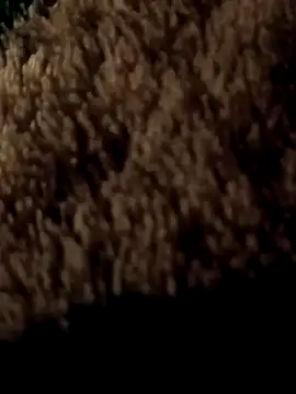 ySqmbVanbe online show from March 7, 1:57 am