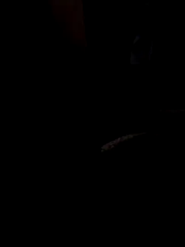 ySqmbVanbe online show from March 13, 8:43 am