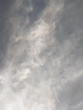 FloppyPickle4u online show from February 17, 11:42 pm