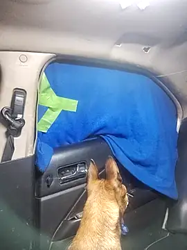 Snapshot of FloppyPickle4u chatting on February 18, 5:31 pm FloppyPickle4u online show from February 18, 5:31 pm