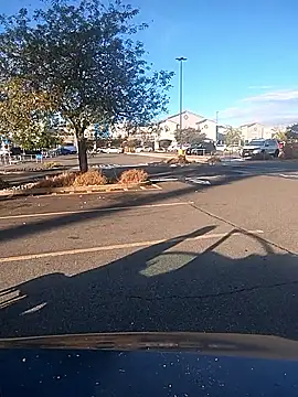 Snapshot of FloppyPickle4u chatting on September 9, 3:11 pm FloppyPickle4u online show from September 9, 3:11 pm