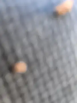 FloppyPickle4u online show from March 7, 2:36 pm