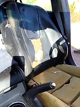 FloppyPickle4u online show from March 9, 4:22 pm