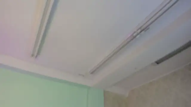 EvaaStevens online show from November 5, 12:16 pm