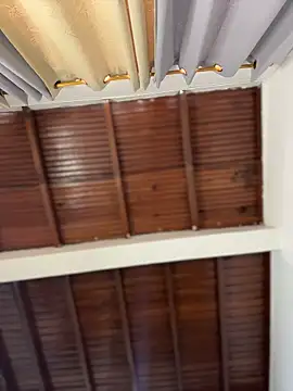 emiss  online show from March 15, 6:25 pm