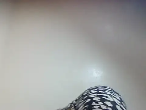 Snapshot of Creamy_candy17 chatting on October 3, 1:41 pm Creamy candy17 online show from October 3, 1:41 pm