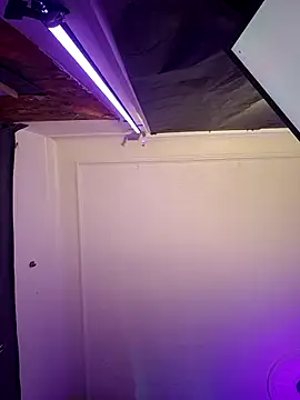 Tony Torrente online show from March 17, 7:55 am