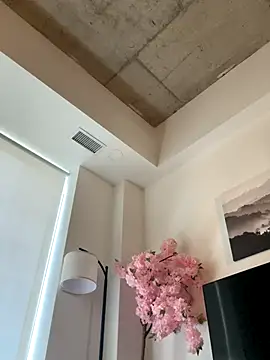 Your Paris online show from November 13, 7:35 pm