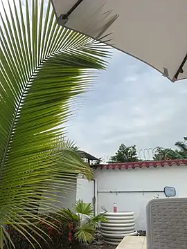 Snapshot of Ema_azel chatting on February 16, 2:00 pm Ema azel online show from February 16, 2:00 pm