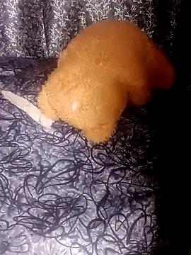 Snapshot of shuhana_ chatting on January 21, 1:18 am shuhana online show from January 21, 1:18 am