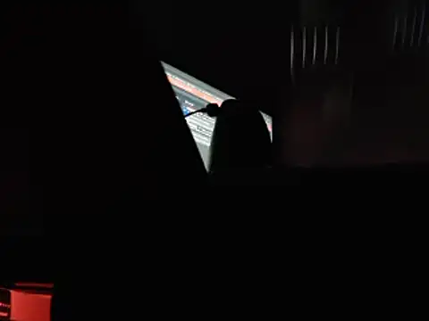 Snapshot of FleshlightFan chatting on January 4, 2:14 am FleshlightFan online show from January 4, 2:14 am