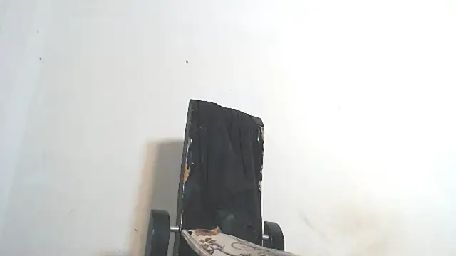 Snapshot of Amazing12inch chatting on January 23, 7:43 am Amazing12inch online show from January 23, 7:43 am