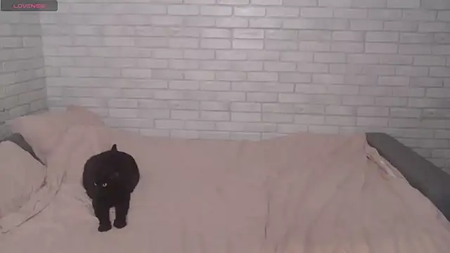 Fuckyoursecretary69 online show from December 9, 12:19 pm