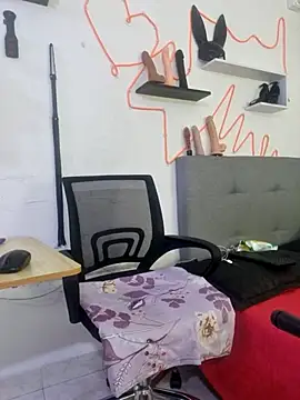 Snapshot of Sophiehuntress chatting on February 19, 4:12 am Sophiehuntress online show from February 19, 4:12 am