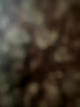 FrutenFratenR9 online show from November 11, 11:21 am