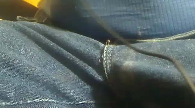 Snapshot of markluvskitty chatting on February 10, 4:14 pm markluvskitty online show from February 10, 4:14 pm