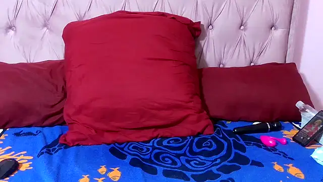 Snapshot of SweetMellowX1 chatting on November 22, 6:34 am SweetMellowX1 online show from November 22, 6:34 am