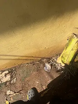 Black-mamba-madingo online show from October 10, 2:16 pm