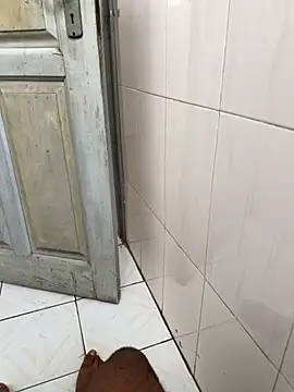 Black-mamba-madingo online show from January 15, 10:53 am