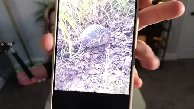 Snapshot of rodeobrii chatting on November 17, 3:34 am rodeobrii online show from November 17, 3:34 am